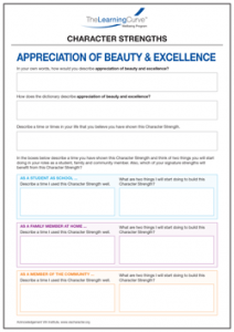 Character Strength Appreciation of Beauty & Excellence