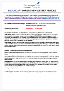 Parent Newsletter Article Week 11 - Middle: Effort Before Achievement / Senior: Your Backstory