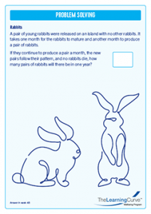 Problem Solving Middle