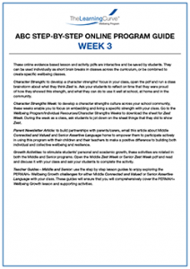 ABC Step by Step Online Program Guide