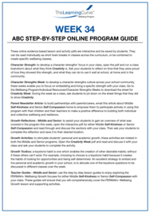 ABC Step by Step Online Program Guide