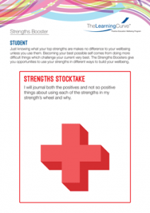 Strengths Booster Strengths Stocktake