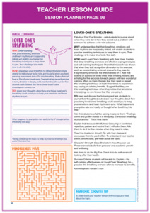 Teacher Lesson Guide Senior
