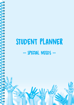 Special Needs Planner – example 2